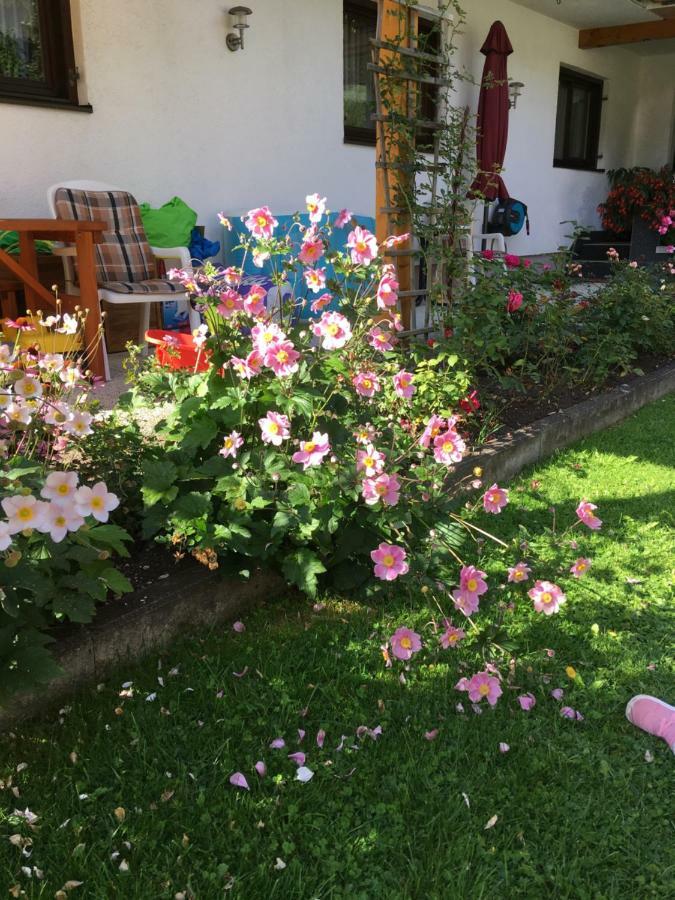 Appartements Wacker Bichlbach Exteriör bild
